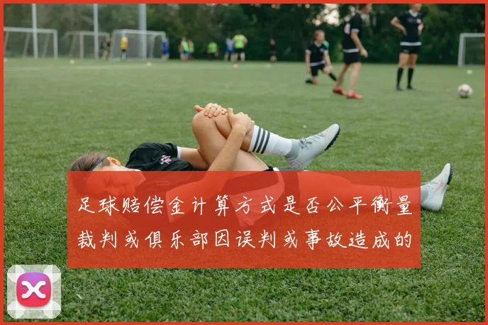 足球赔偿金计算方式是否公平衡量裁判或俱乐部因误判或事故造成的经济损失