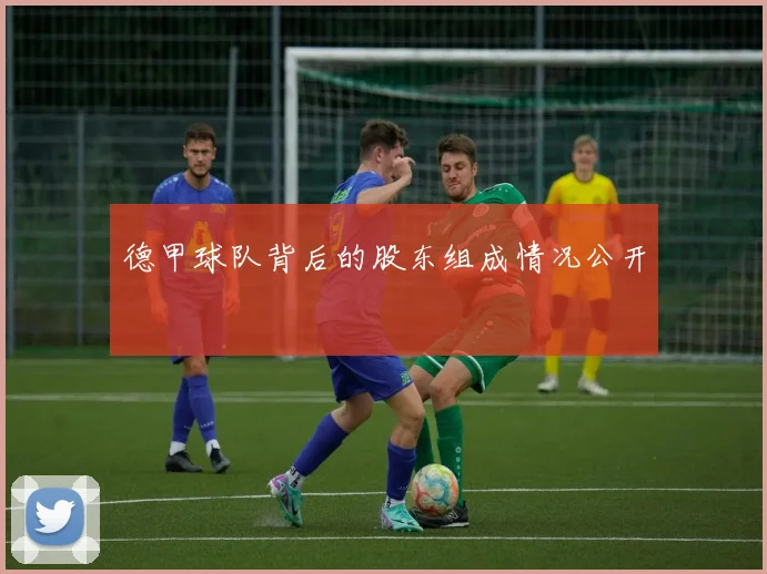 德甲球队背后的股东组成情况公开