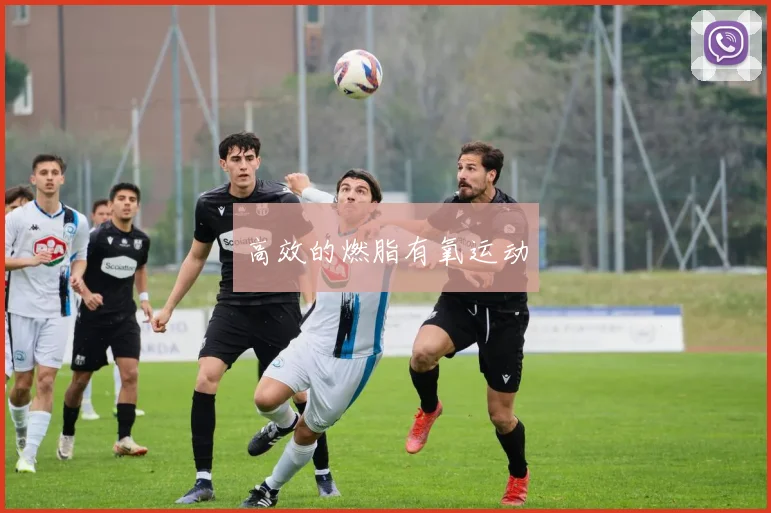 高效的燃脂有氧运动